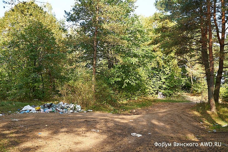 Что остается после отдыхающих летом в лесу