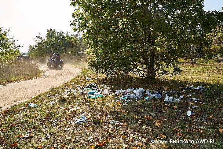 Лес в Жостово