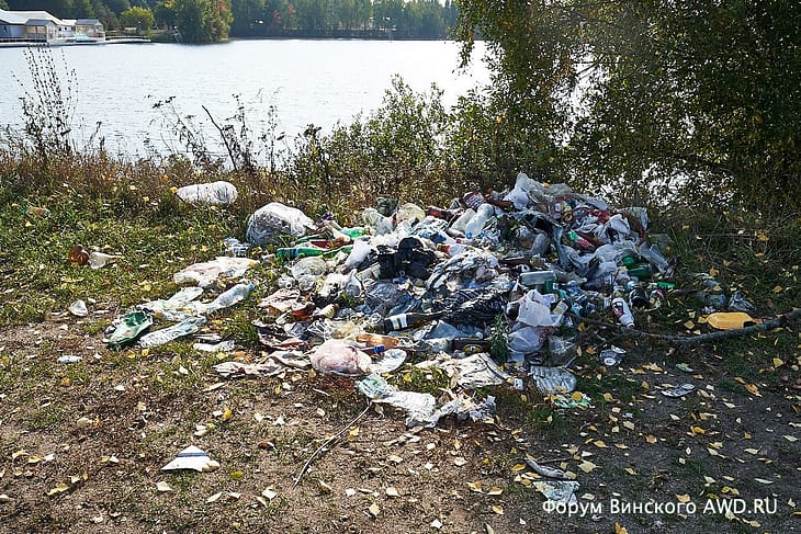 Лес в Жостово