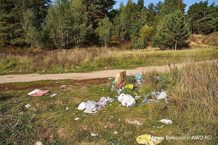 Лес в Жостово