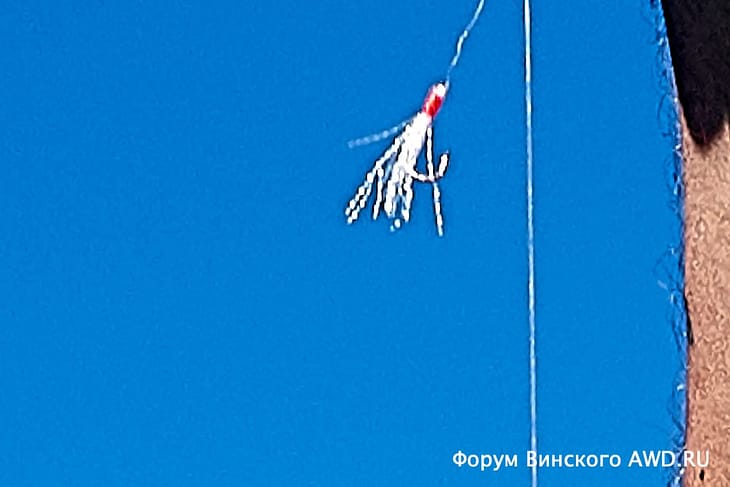 Рыбалка на Ко Липе