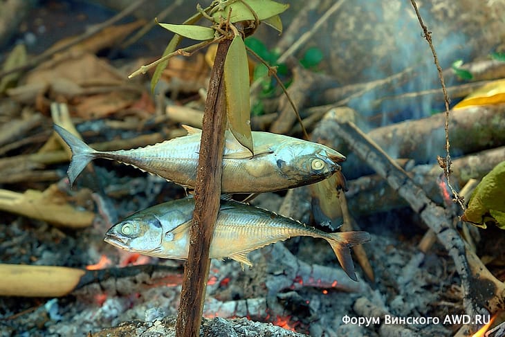 Ко Липе чем заняться 2019