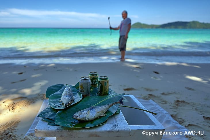 Ко Липе чем заняться 2019