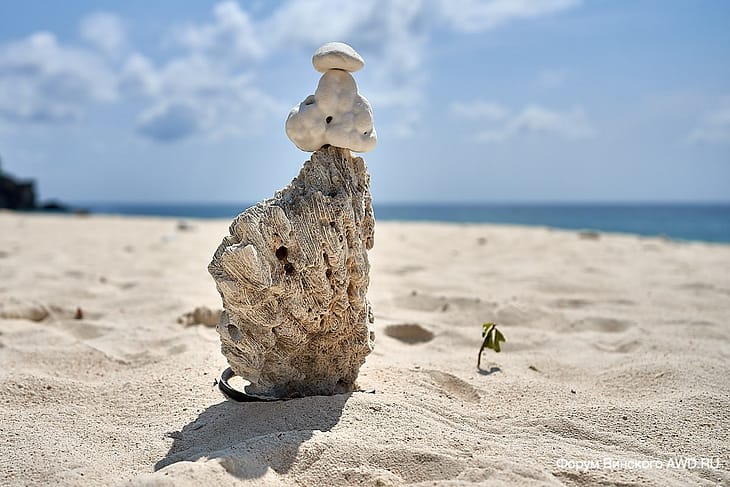 Пляжный отдых в феврале 2019