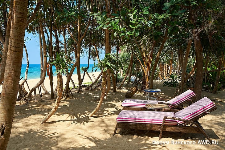 Натай бич клуб Баба