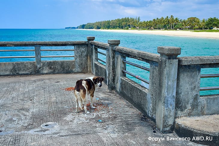 Натай бич отзывы