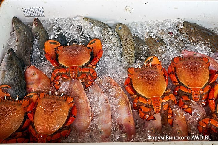 Натай бич отзывы