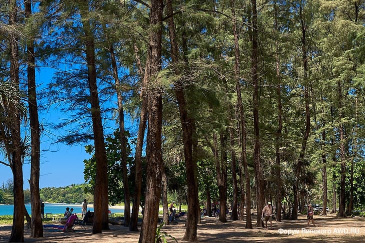Layan beach (Лаянн бич)