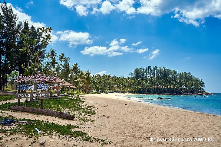 Пилай бич отзывы