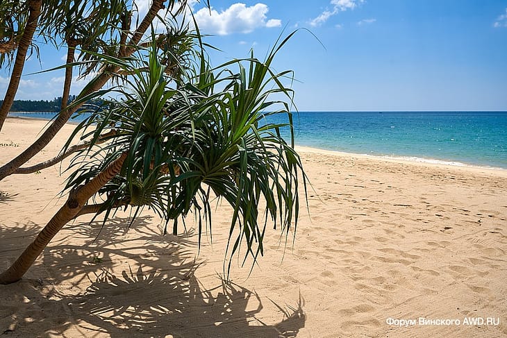 Баба Бич Клаб Пхукет отзывы