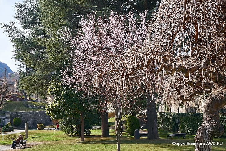 La Valsusa отзывы