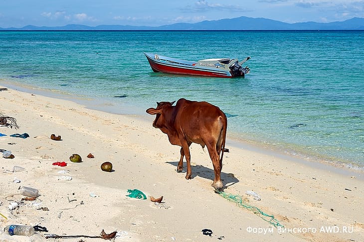 Остров Мантанани отзывы