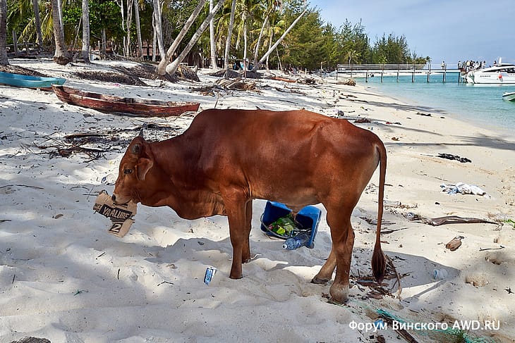 Остров Мантанани отзывы