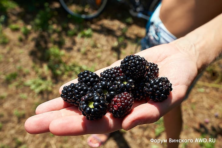 Вилла на Корфу