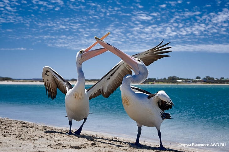 Kalbarri WA Australia