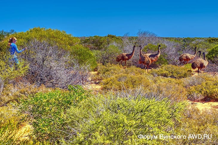 Francois Peron National Park WA