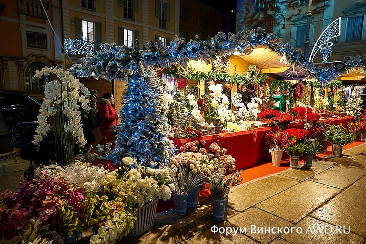 Пьяченца вечером