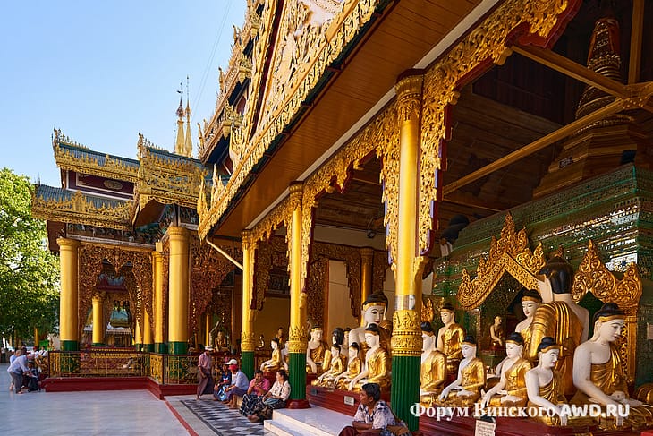 Шведагон фото