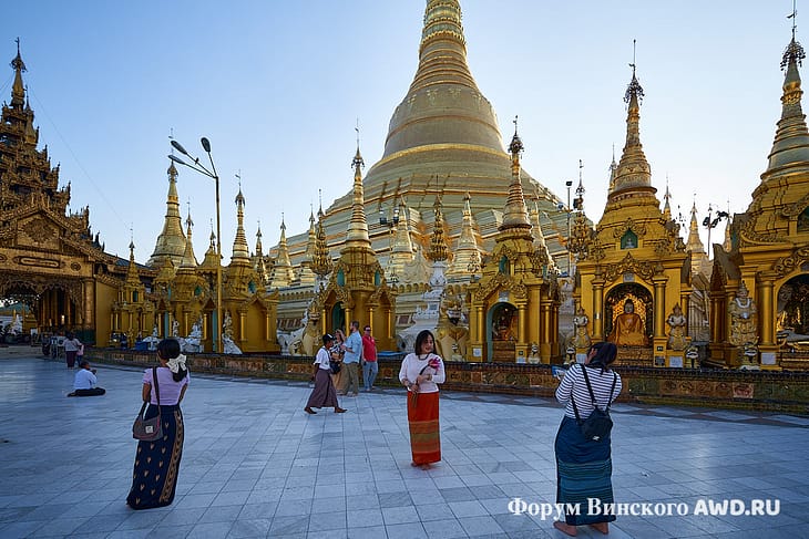 Шведагон отзывы