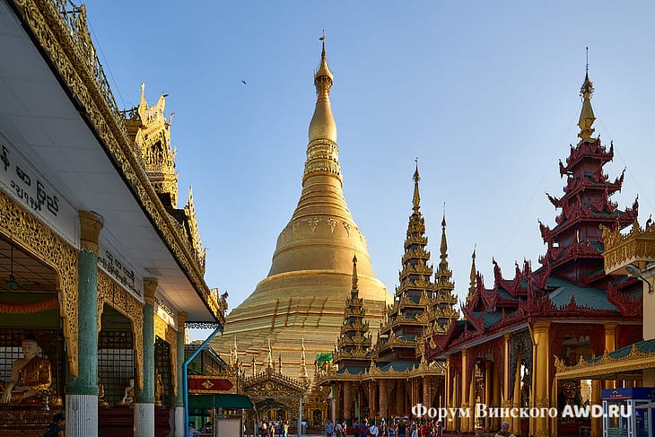 Шведагон фото