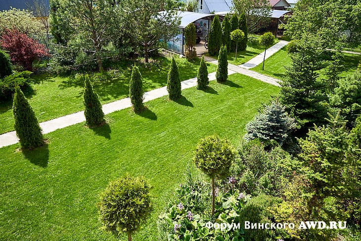 Газон на даче своими руками