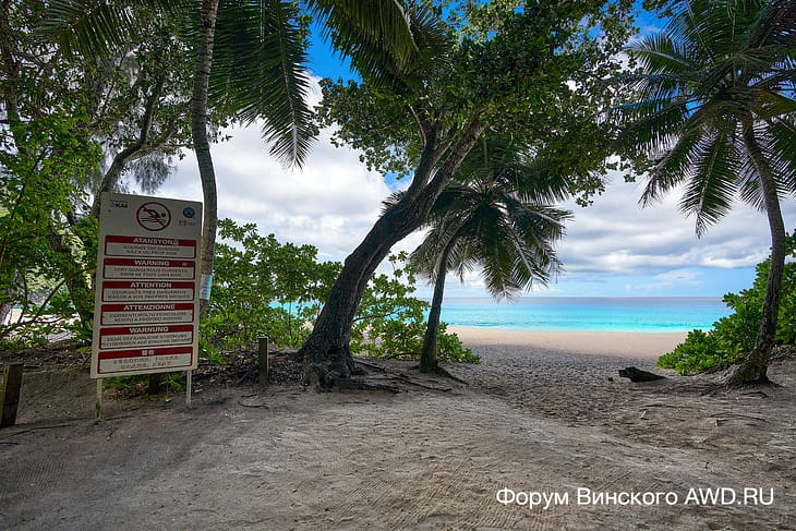 Анс Интенданс течения