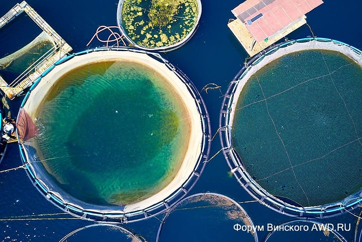 Пляж Фтероти Ситония