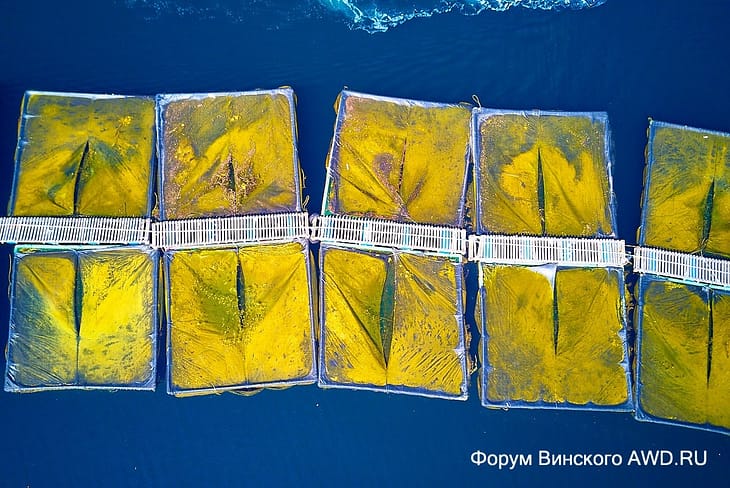 Пляж Фтероти Ситония