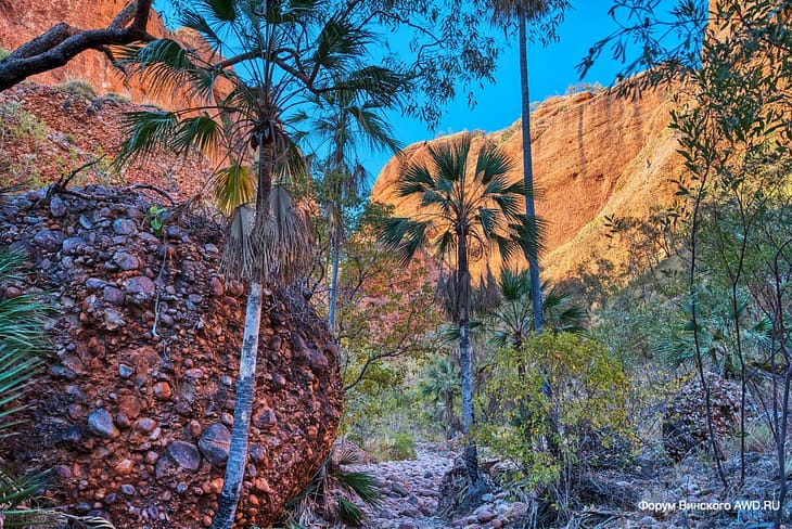 Mini Palms Gorge Purnululu