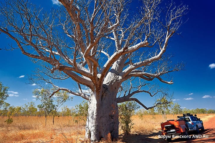 Camping and rest stops in Australia