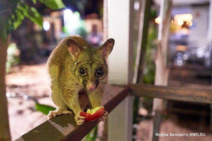 Camping and rest stops in Australia