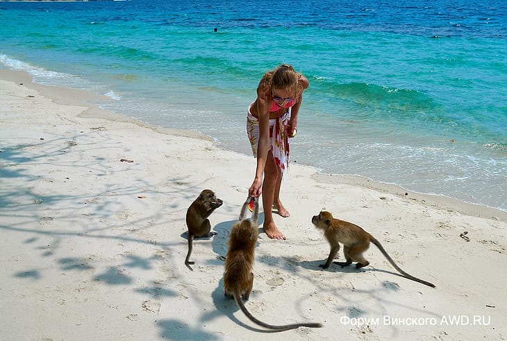 Пляж Манки-Бич (Monkey Beach)