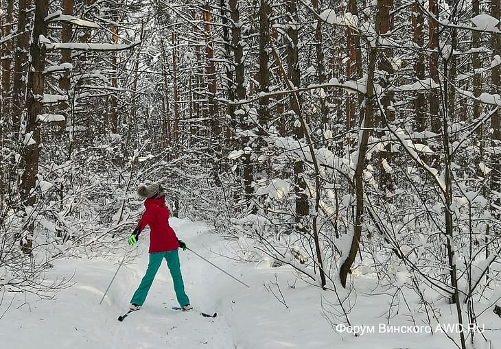 Жизнь на даче плюсы и минусы
