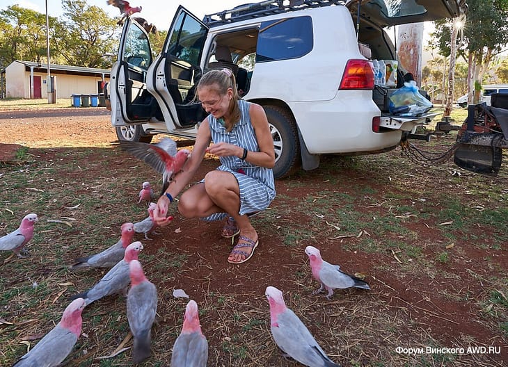 Tom Price Karijini Park