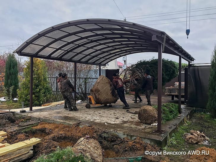 Озеленение участка после строительства