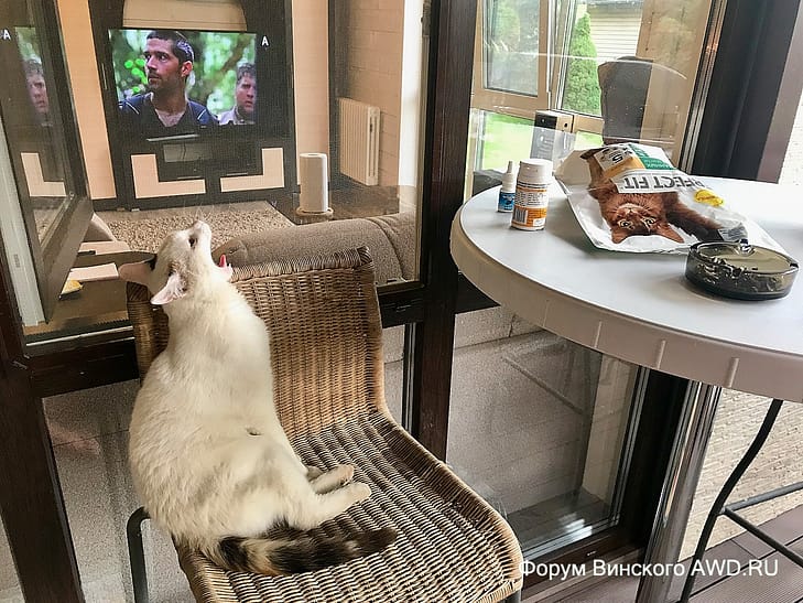 Жить на даче круглый год