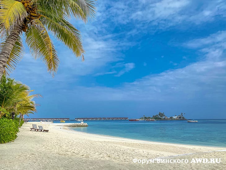 Мальдивы на Новый год отзывы