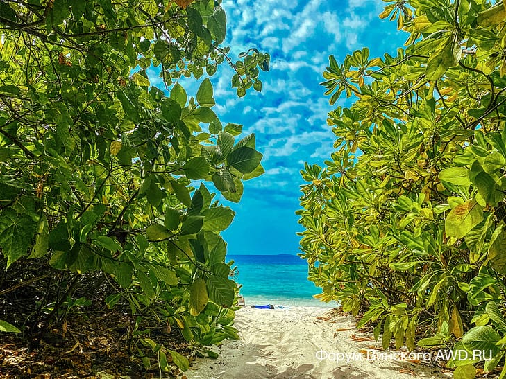 Макунуду Мальдивы отзывы