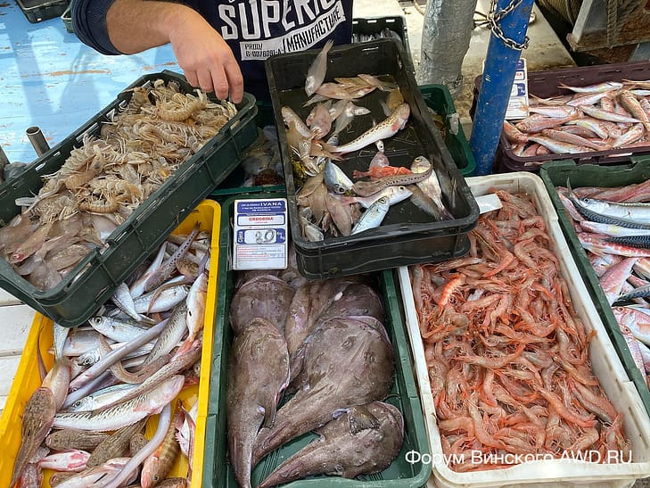 На машине по Хорватии в марте 2021