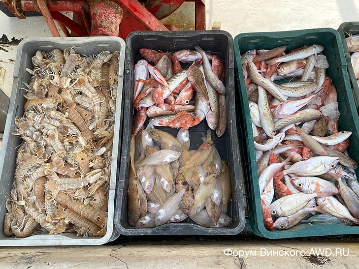 На машине по Хорватии в марте 2021