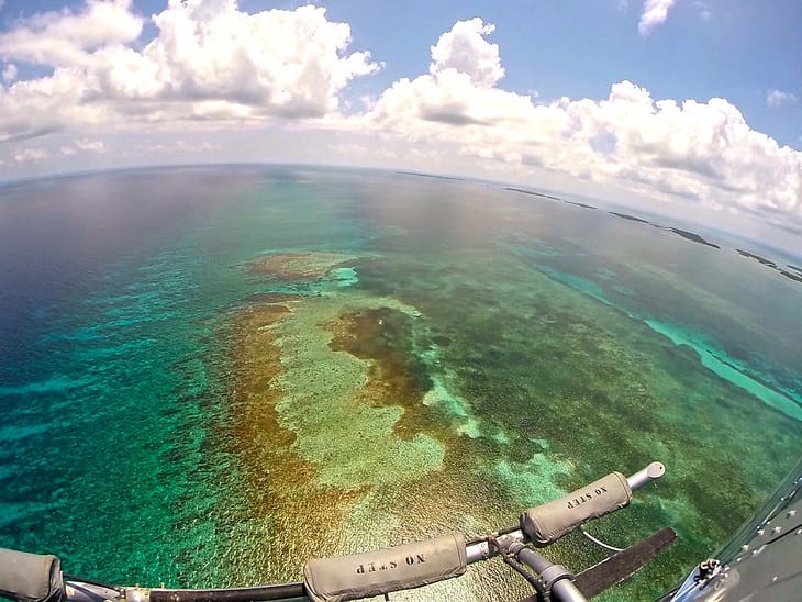 Белиз отзывы