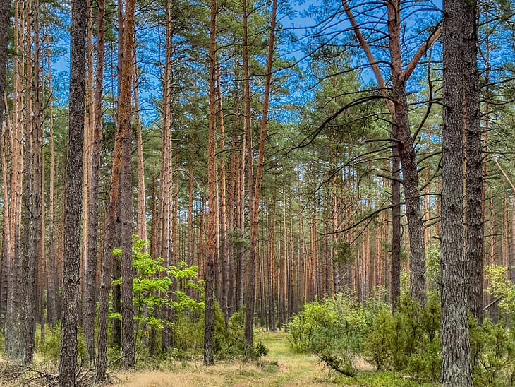 Лечебные санатории в Европе