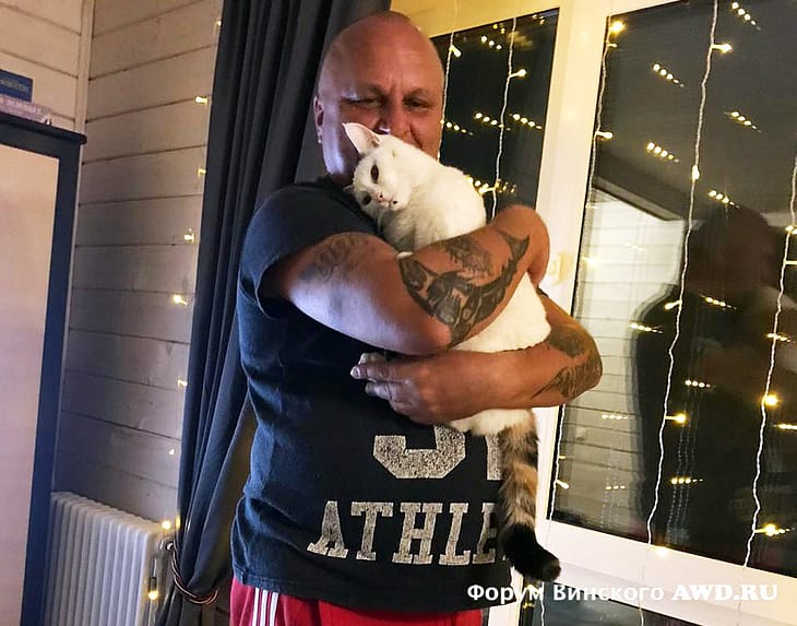 Мальдивы на Новый год отзывы