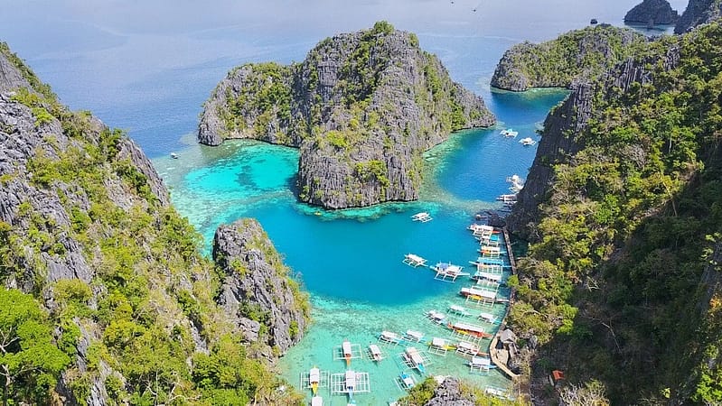 Винский итоги 2017