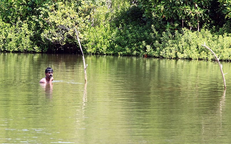 Шри Ланка самостоятельно на авто
