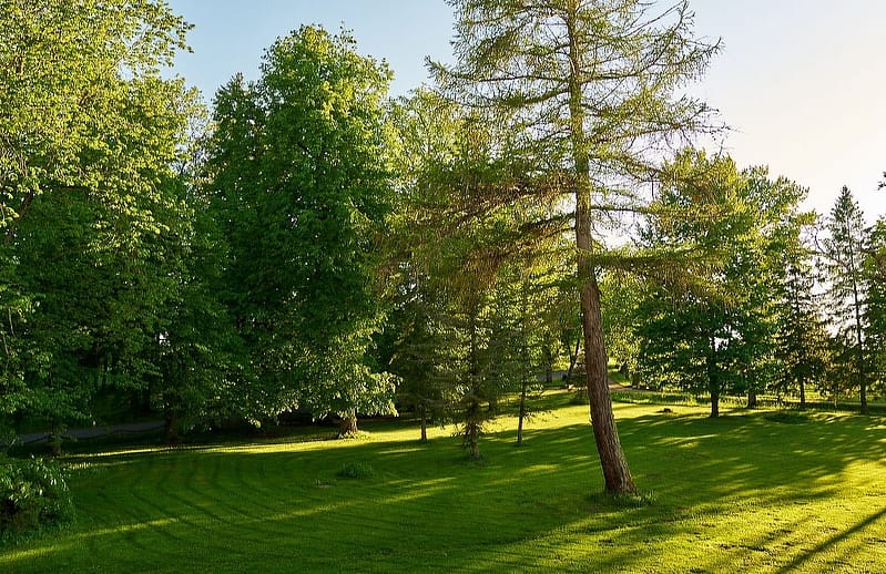 Агротуризм в Эстонии