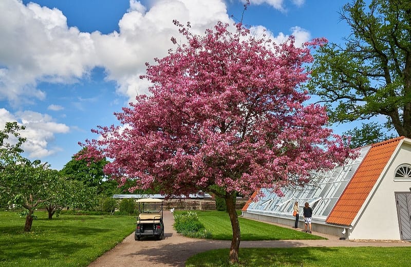 Агротуризм в Эстонии