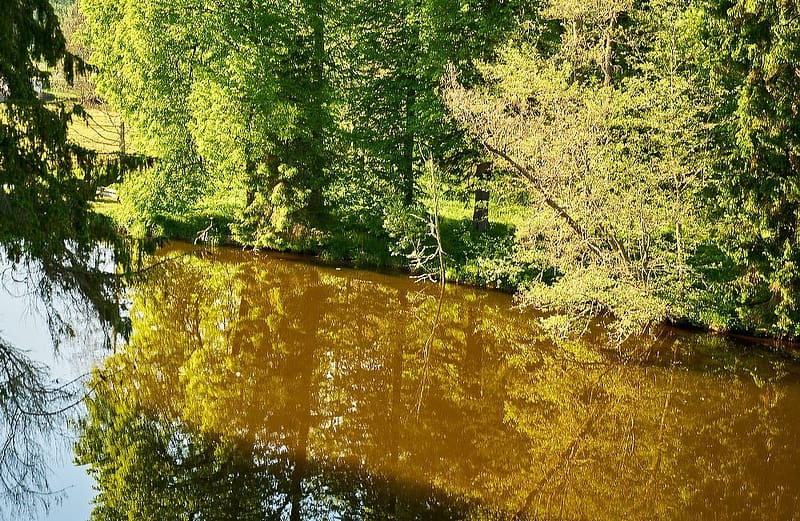 Мыза Вихула Эстония