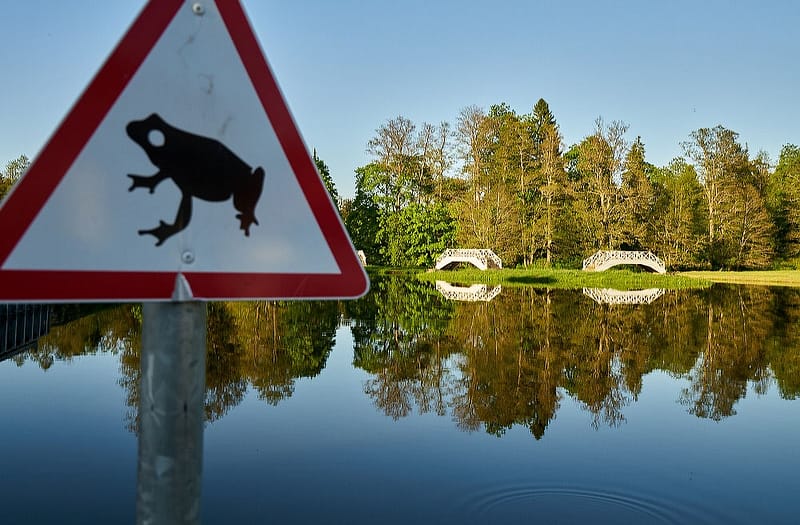 Мыза Вихула Эстония