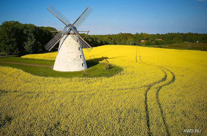 Что посмотреть в Эстонии